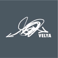 VELYA Group logo - Similar company to Puertamatic