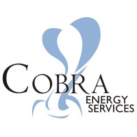 Cobra Energy Services logo - Similar company to Cobra Energy