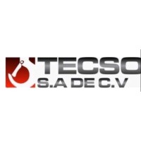 TECSO Soluciones Industriales S.A. de C.V. logo - Similar company to Tecso Levante Sl