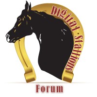 Digital Stallions Forum UAE logo - Similar company to Auburn Digitech