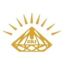 Diamond Knowledge International School logo - Similar company to International School Of Laos Pakse
