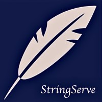 Stringserve Technologies Inc logo - Similar company to Hospikash