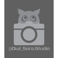 Owl_Sora.Studio logo - Similar company to Kurawa Studio