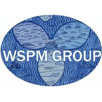 WSPM Group logo - Similar company to Msintelligence - Diagnostic Market Surveys
