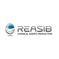 ReaSib DMG LLC logo - Similar company to Geonaft