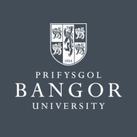 Bangor Business School - Executive Education logo - Similar company to Prolinks Technology & Services