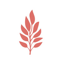Raw Apothecary