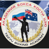 Tim Tszyu // Tszyu Boxing Academy logo - Similar company to Humber Boxing Network