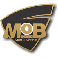 MoB Capital (PVT) LTD logo - Similar company to Iprotector Zimbabwe