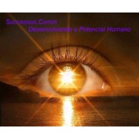 Mente de Successus logo - Similar company to Mentes De Sucesso