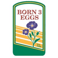 Born 3 Marketing Corp.