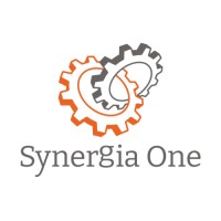 Synergia One - liquidated 2023 logo - Similar company to Stem360 (Pvt.) Ltd.