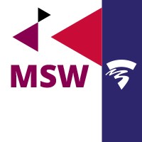 Master Social Work logo - Similar company to Flowmundo Digital Talent