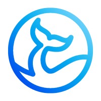DigiSea logo - Similar company to Van Data Team