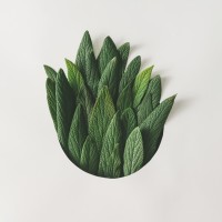 abtira | garden logo - Similar company to Baboon Natural