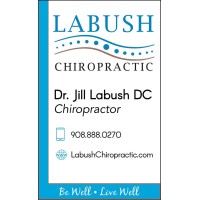 Labush Chiropractic logo - Similar company to Ad Web