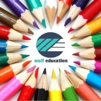 WolfEducationLTD logo - Similar company to Valuestaff