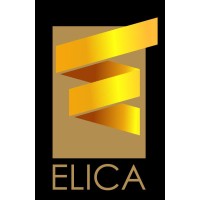 ELICA SOLUTIONS GROUP logo - Similar company to Elica Solutions Group Llc