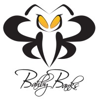 Bahby Banks Innovation Group logo - Similar company to Pillar Consulting, Raleigh-Durham