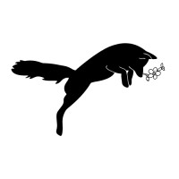 Signify Consulting, LLC logo - Similar company to Mc2 Consulting - Seattle