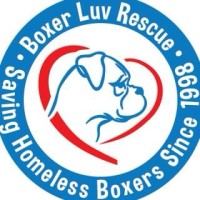 Boxer Luv Rescue logo - Similar company to Aidsprojectlosangeles