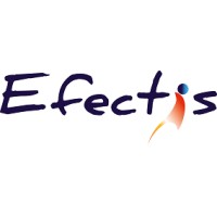 Efectis logo - Similar company to Ignist As