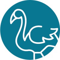 Digital Flamingo logo - Similar company to Techalign Ltd