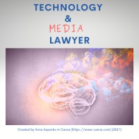Technology&Media Lawyer logo - Similar company to The Media Entertainment