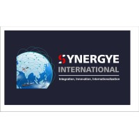 Synergye International logo - Similar company to Ashray Globe Trade
