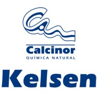 Refractarios Kelsen logo - Similar company to Refractarios Schemin