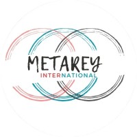 METAREY INTERNATIONAL logo - Similar company to The Assignment Hub It