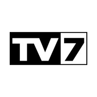 GRUPPO TV7 | TRIVENETA SRL logo - Similar company to Three Solution S.R.L. - Web Agency