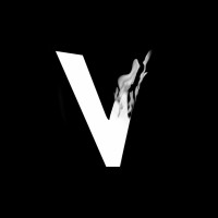 Visual Media Edge logo - Similar company to Digizens Media Edge