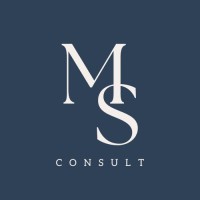 MS CONSULT logo - Similar company to Ml Consulting