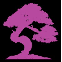 Funky Seshwa logo - Similar company to Xanadu Roller Arts