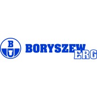 Boryszew ERG logo - Similar company to Mfo Sa - Steel Section Manufacturer