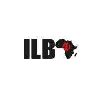 ILBA - I Love Being African Marketplace! logo - Similar company to Ex Nihilo Studios