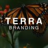 Terra Branding logo - Similar company to Sunset Labs Bd