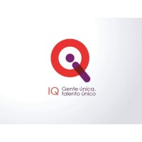 IQ MULTI CONSULTORES S.A.S logo - Similar company to Cfs Logistics Llc