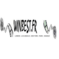 winbest.fr logo - Similar company to Microtek International, Inc.