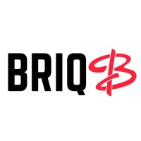 BRIQBI ANALYTICS PRIVATE LIMITED logo - Similar company to Exonova Tech Solutions Pvt Ltd