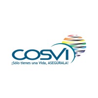 COSVI Puerto Rico logo - Similar company to Juapi Energy