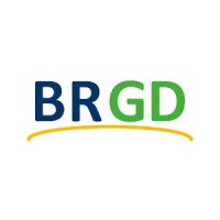 BRGD Solar Energy logo - Similar company to Sol Atitude Serviços E Soluções Em Energia Solar