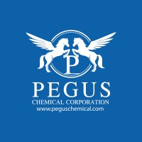 Pegus Chemical Corporation logo - Similar company to Lidochem Llc