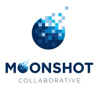 Moonshot Collaborative logo - Similar company to Vegans