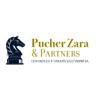 Pucher Zara & Partners logo - Similar company to Be Akos