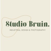 Studio Bruin logo - Similar company to Innner 🧩