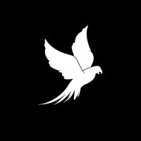 BlackHawk logo - Similar company to Ilc Brasil