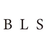 BLS CAPITAL LIMITED logo - Similar company to Xuanwu Capital Management Limited