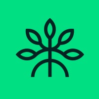 Mangrove logo - Similar company to Lydian Technology Group